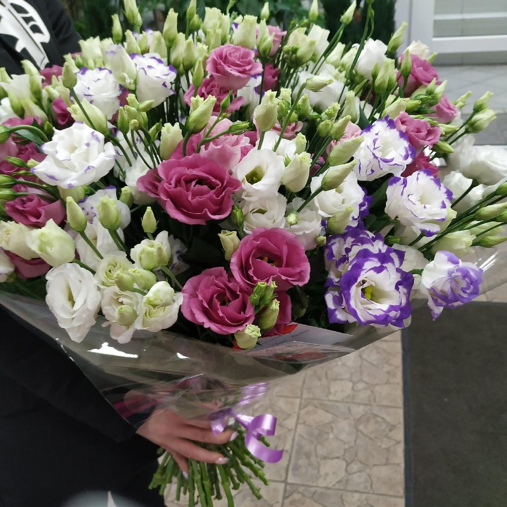 Шикарный букет из 51 Эустомы микс Шикарный букет из 51 Эустомы микс