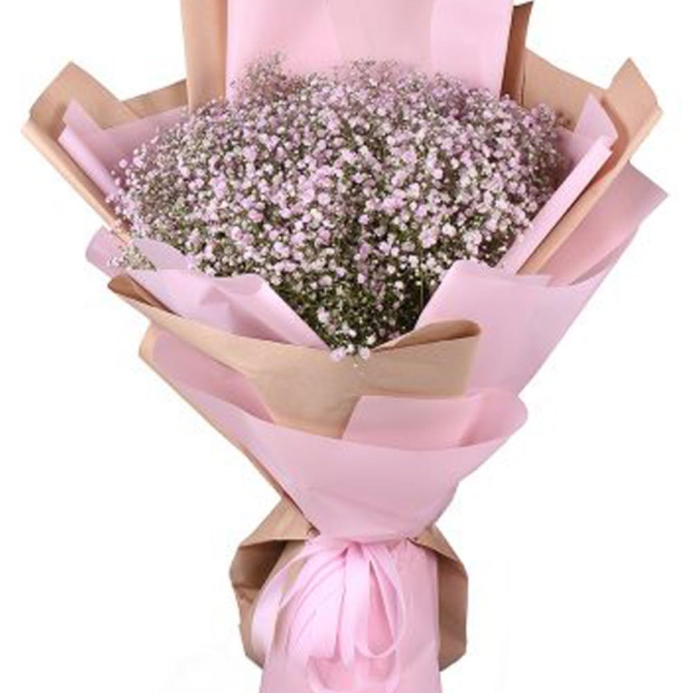 Розовая Гипсофила в Матовой Упаковке Розовая Гипсофила в Матовой Упаковке